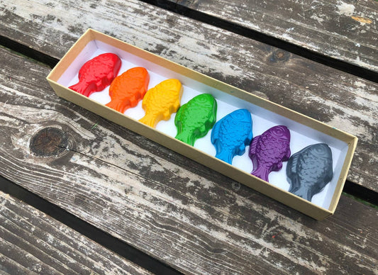 Fish Crayons Gift Box