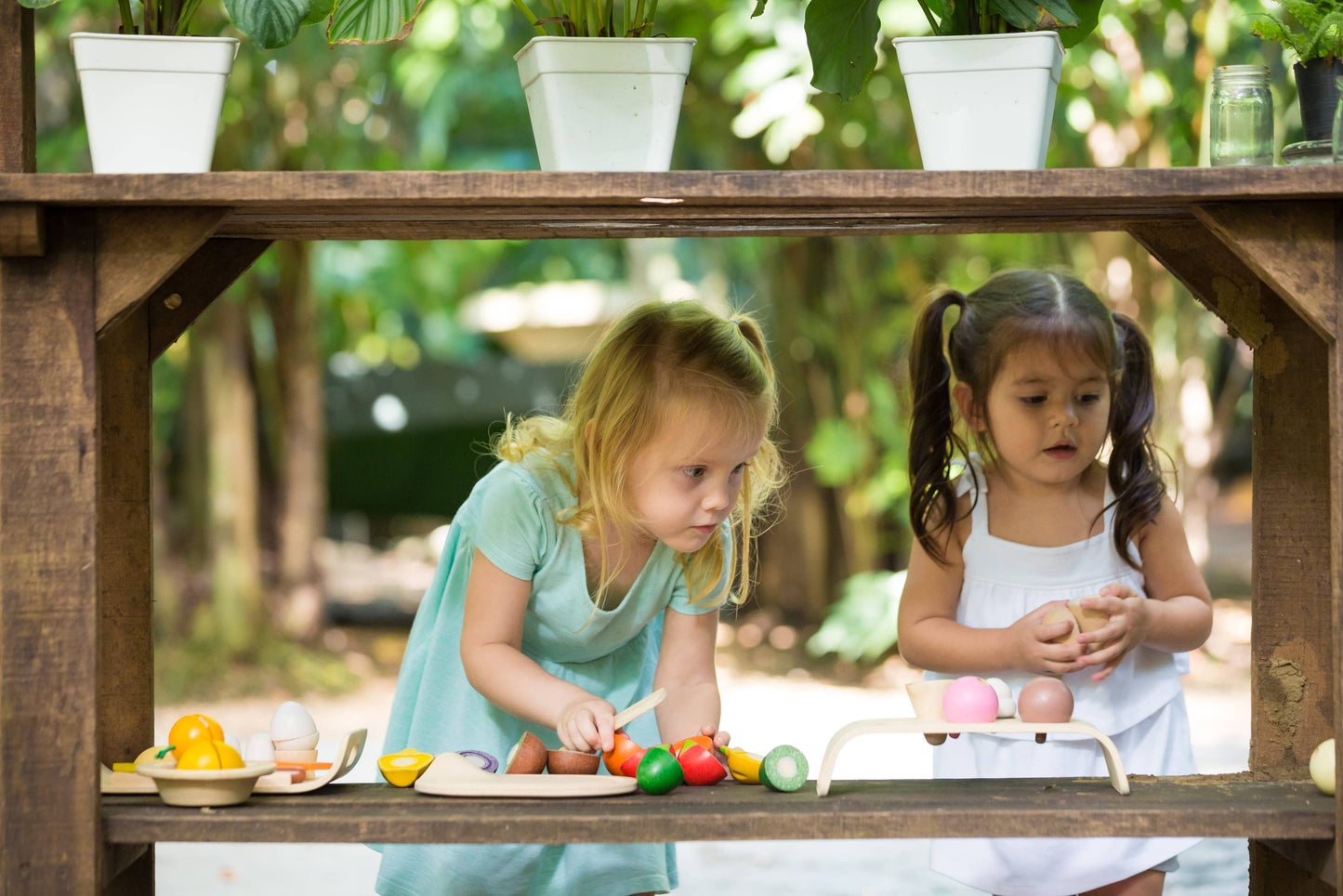 Assorted Fruit And Vegetable Wood Toy for Kids