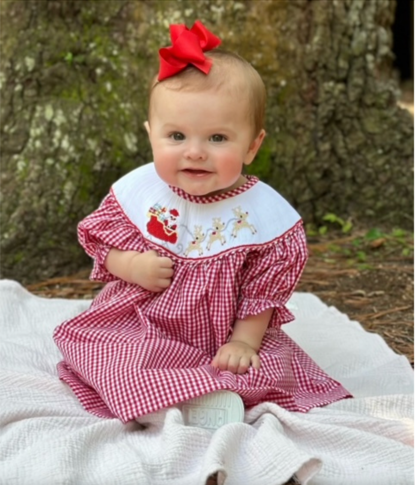 Santa's Sleigh Smocked Bishop