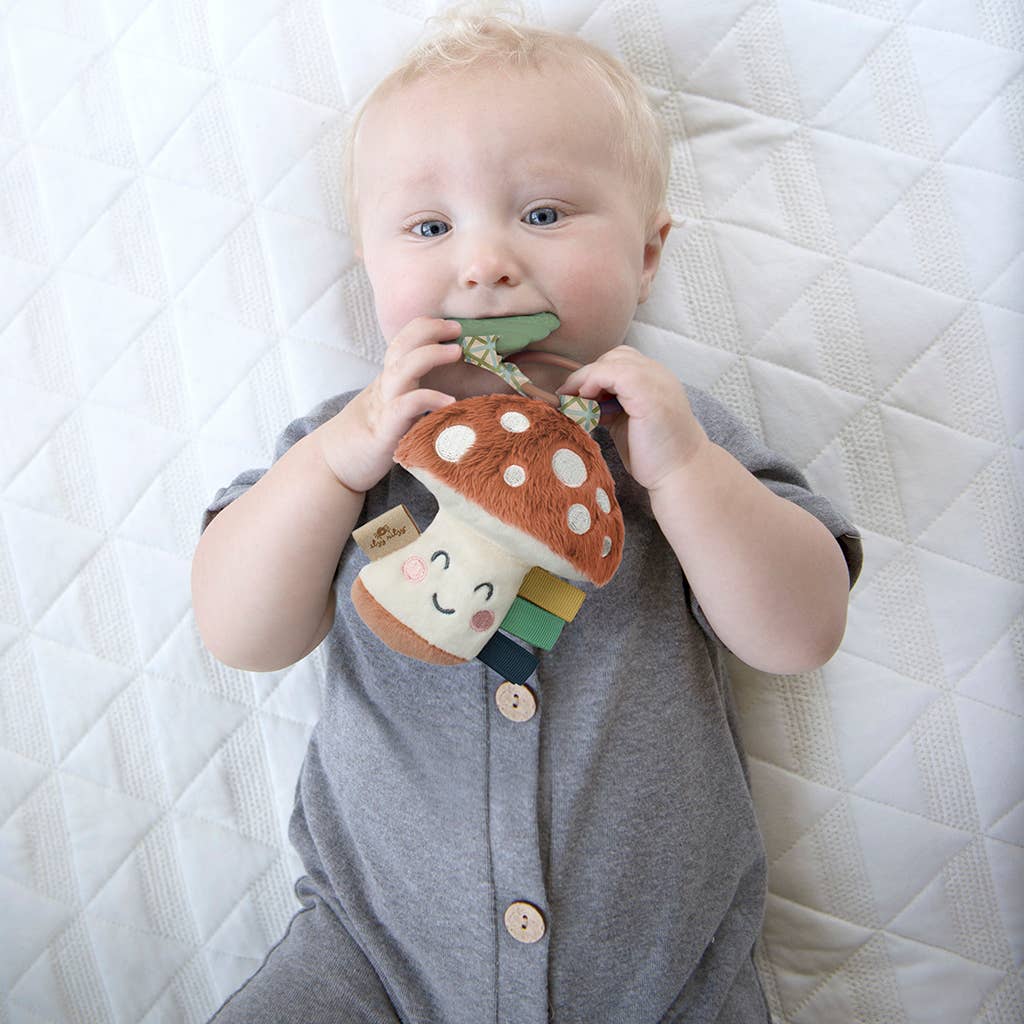 Itzy Pal™ Plush + Teether - Multiple Options