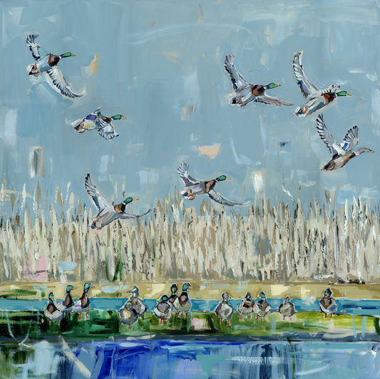 "Duck Season" Flying Mallard Canvas